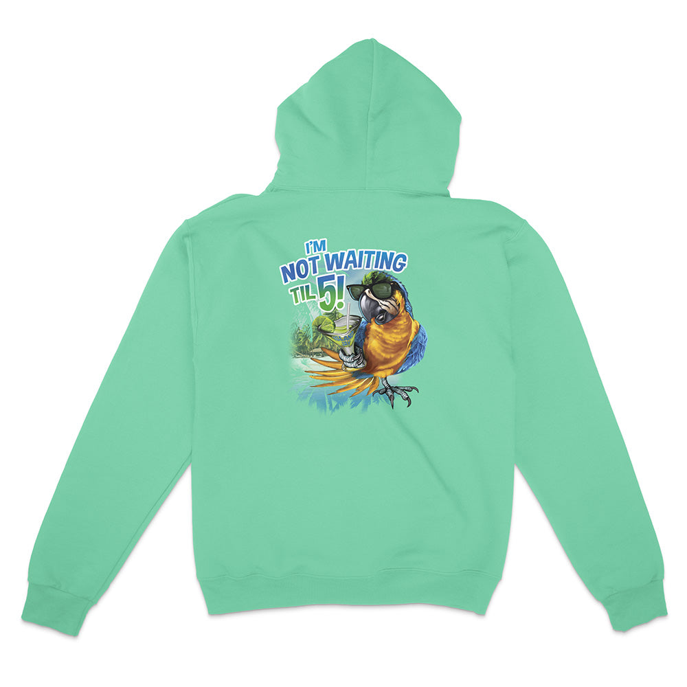 Green hoodie with a colorful parrot graphic and text on the back against a white background