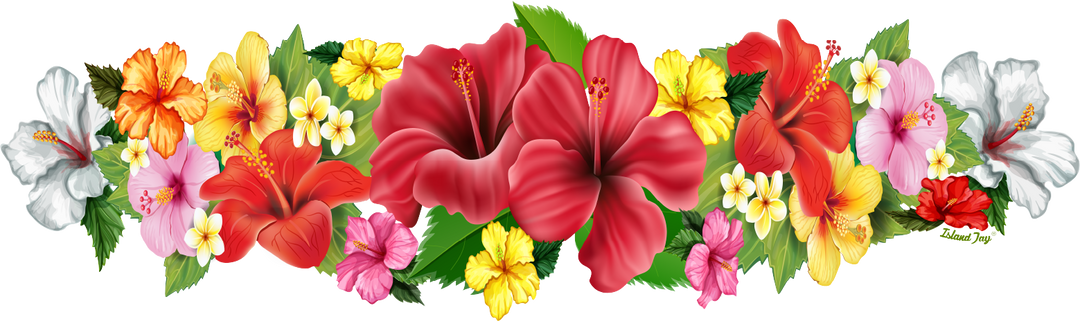 Colorful tropical flowers on a white background