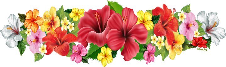 Colorful tropical flowers on a white background