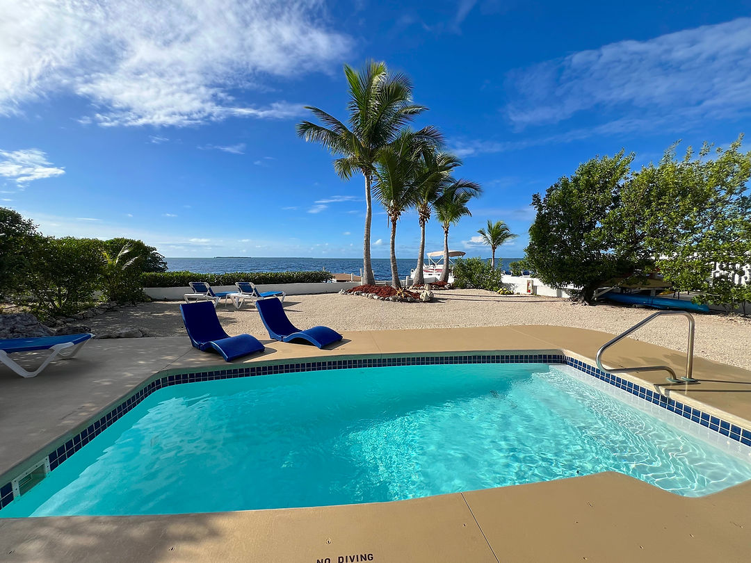 Pool area with lounge chairs, palm trees, and ocean view under a blue sky.