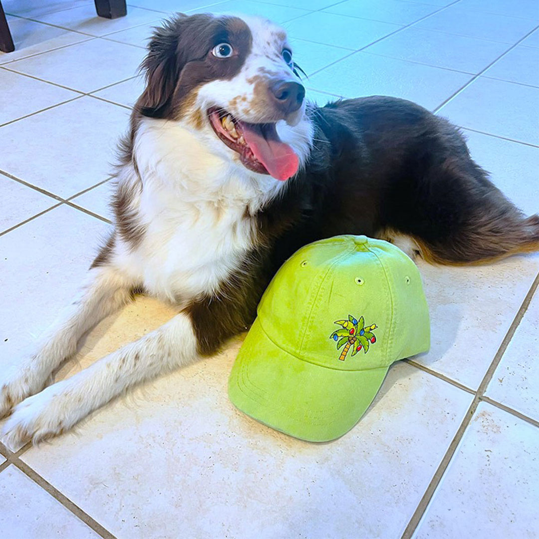 Coco the puppy dog modeling the Deck The Palms Hat