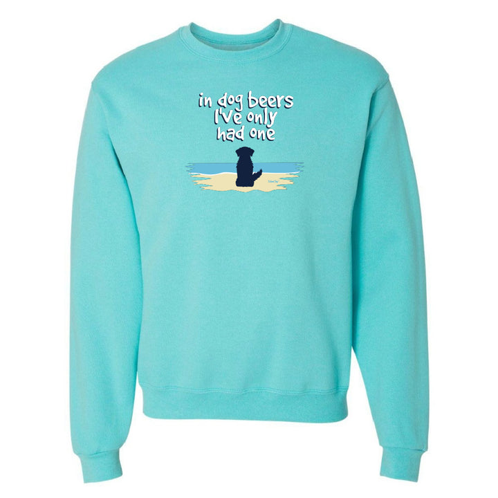 Turquoise sweatshirt with a dog graphic and text on a white background