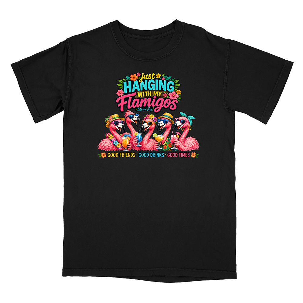 Hanging With My Flamigos T-Shirt