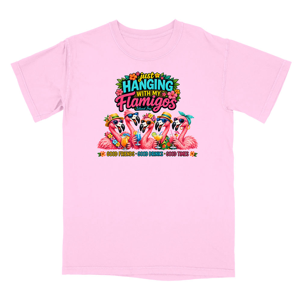 Hanging With My Flamigos T-Shirt