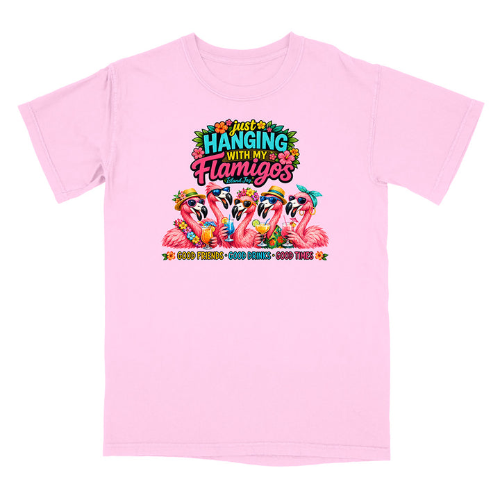 Hanging With My Flamigos T-Shirt