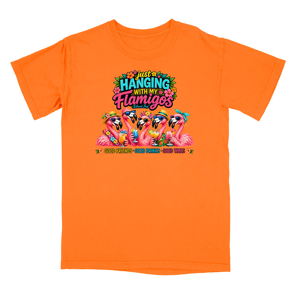 Hanging With My Flamigos T-Shirt