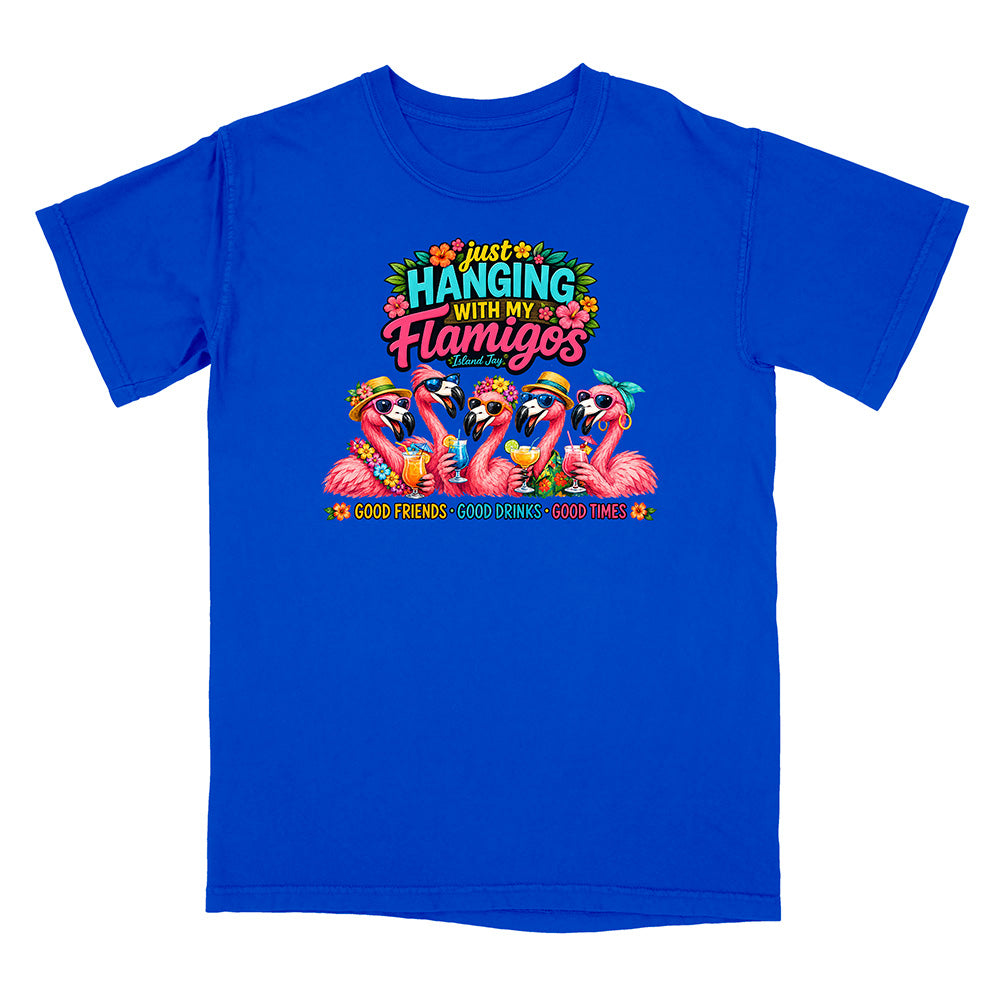 Hanging With My Flamigos T-Shirt