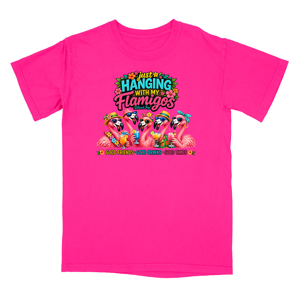 Hanging With My Flamigos T-Shirt