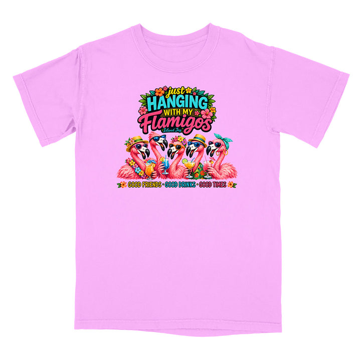 Hanging With My Flamigos T-Shirt