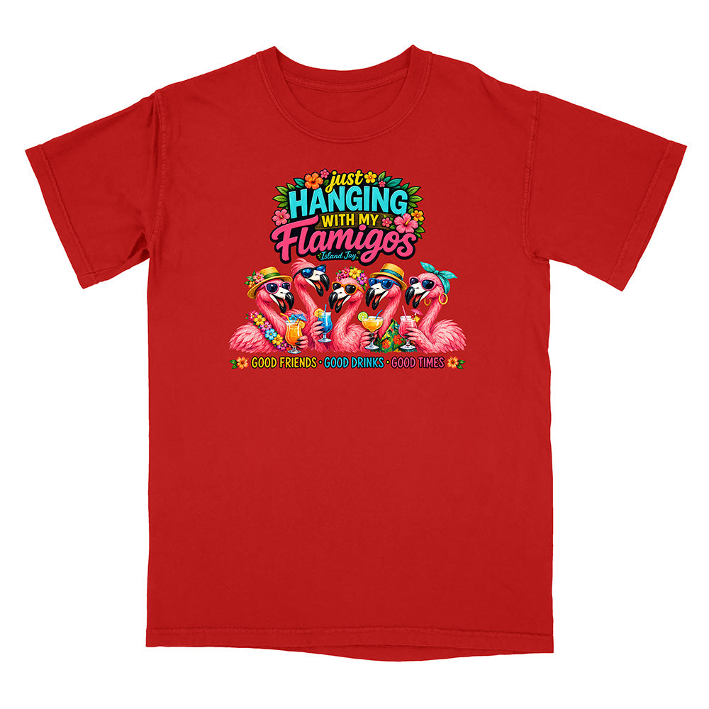 Hanging With My Flamigos T-Shirt