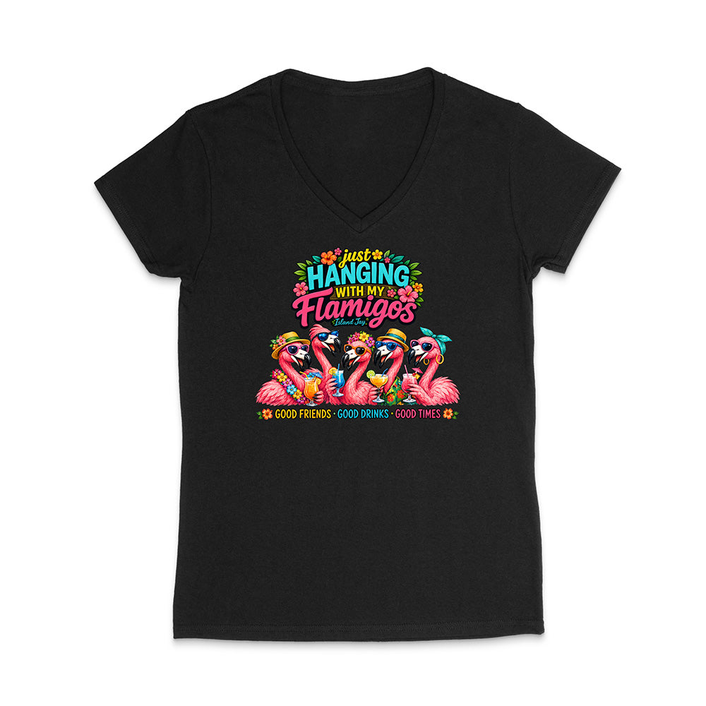 Hanging With My Flamigos V-Neck T-Shirt