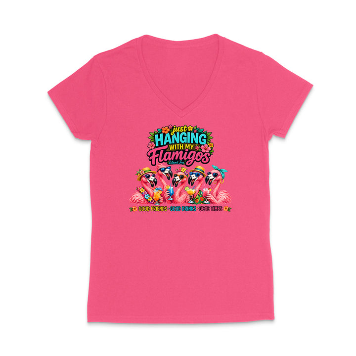 Hanging With My Flamigos V-Neck T-Shirt