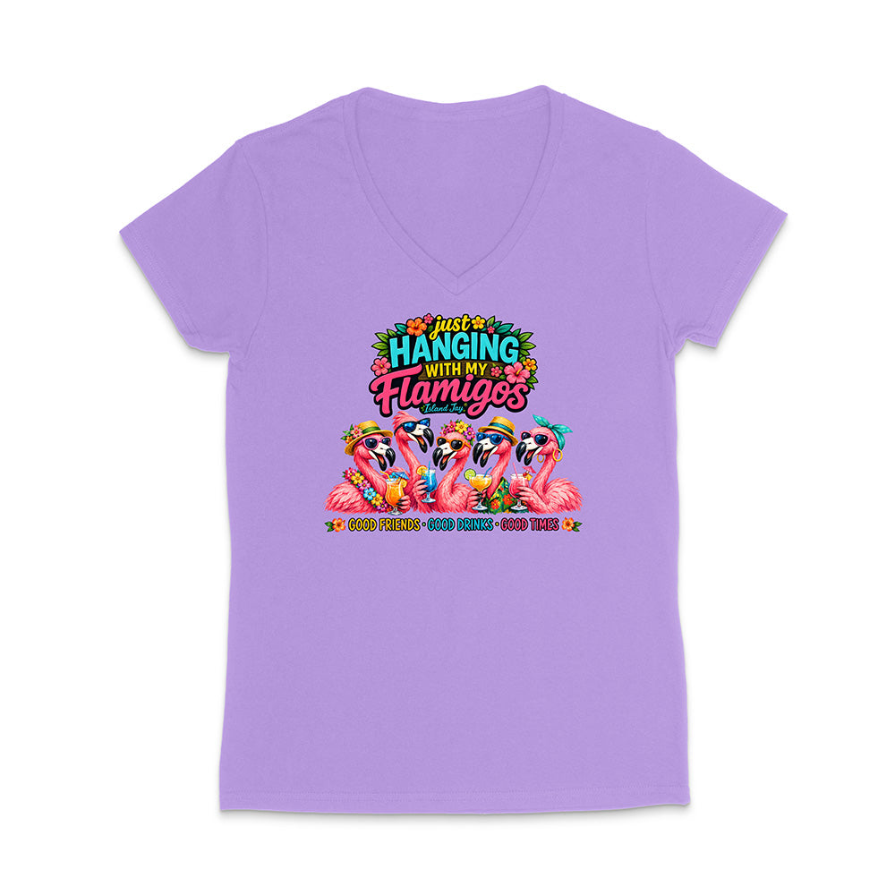 Hanging With My Flamigos V-Neck T-Shirt