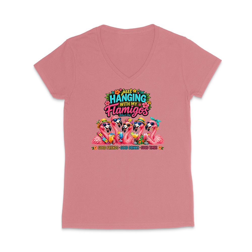 Hanging With My Flamigos V-Neck T-Shirt