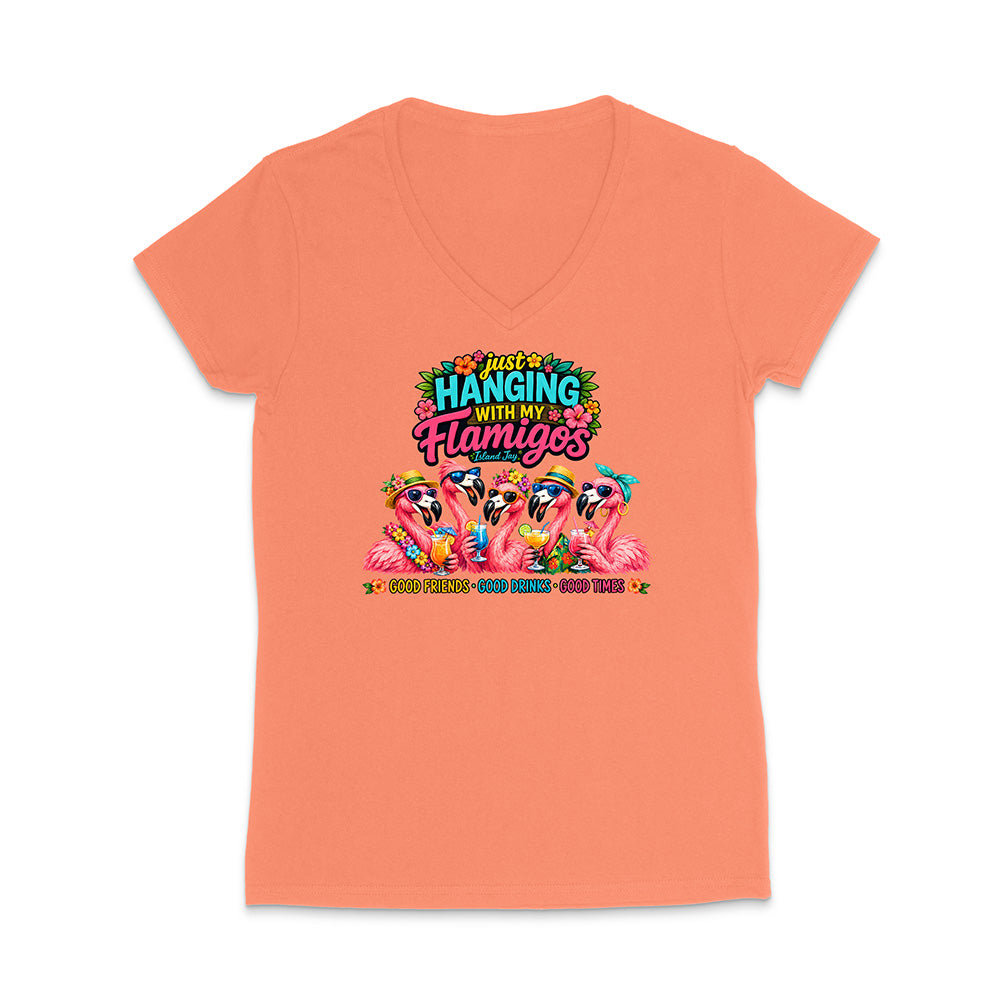 Hanging With My Flamigos V-Neck T-Shirt