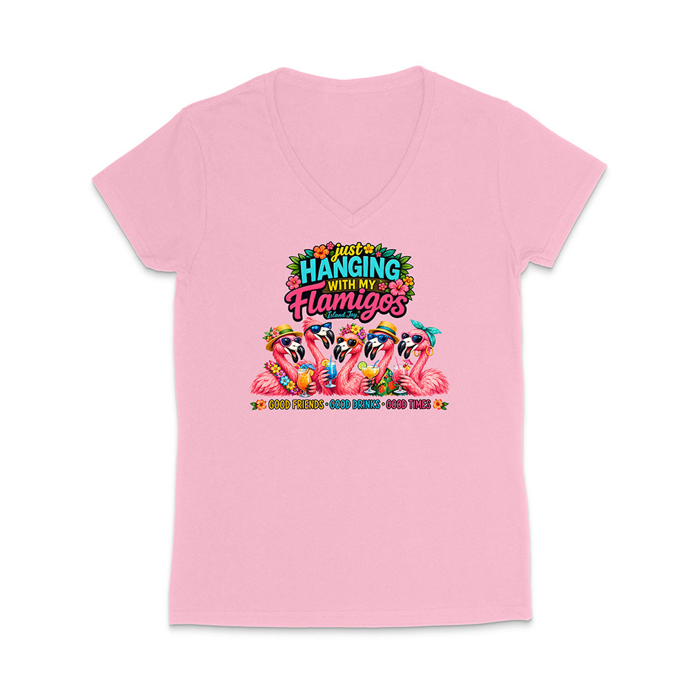 Hanging With My Flamigos V-Neck T-Shirt