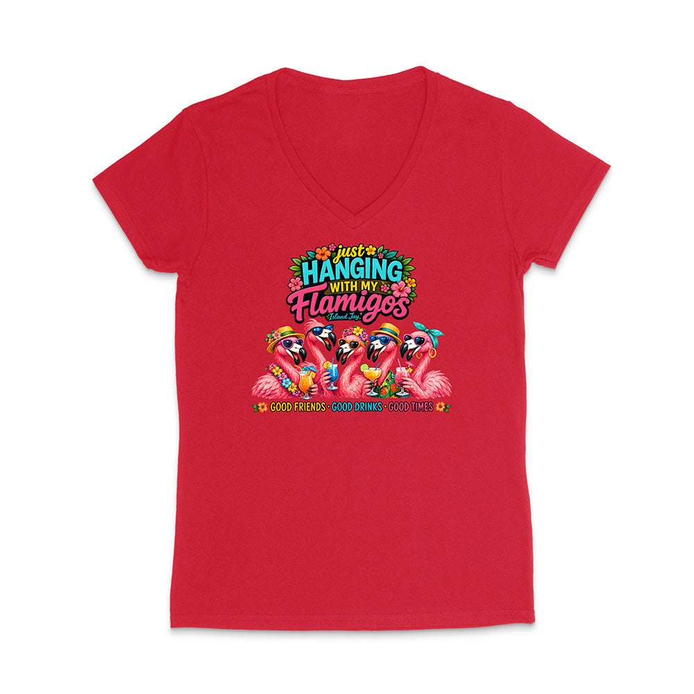 Hanging With My Flamigos V-Neck T-Shirt
