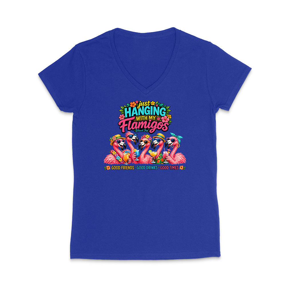 Hanging With My Flamigos V-Neck T-Shirt