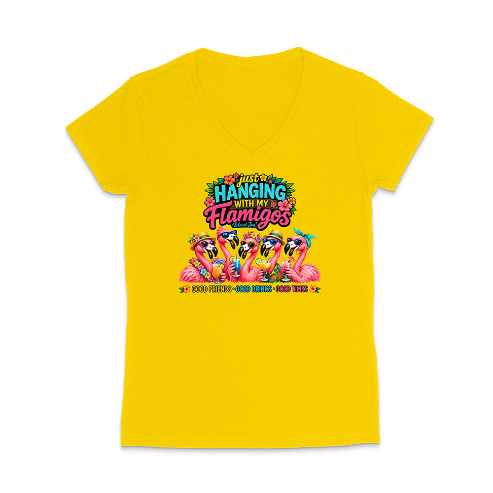 Hanging With My Flamigos V-Neck T-Shirt