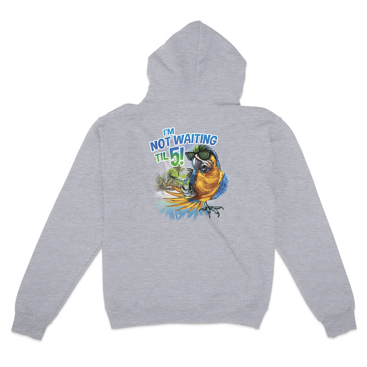 Gray hoodie with a colorful parrot graphic and text on the back against a white background