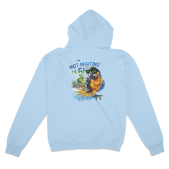 Light blue hoodie with a colorful parrot graphic and text on the back against a white background