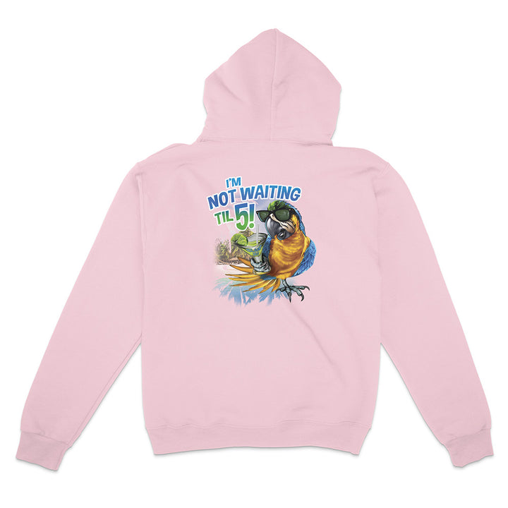 Pink hoodie with a parrot graphic and text on the back against a white background
