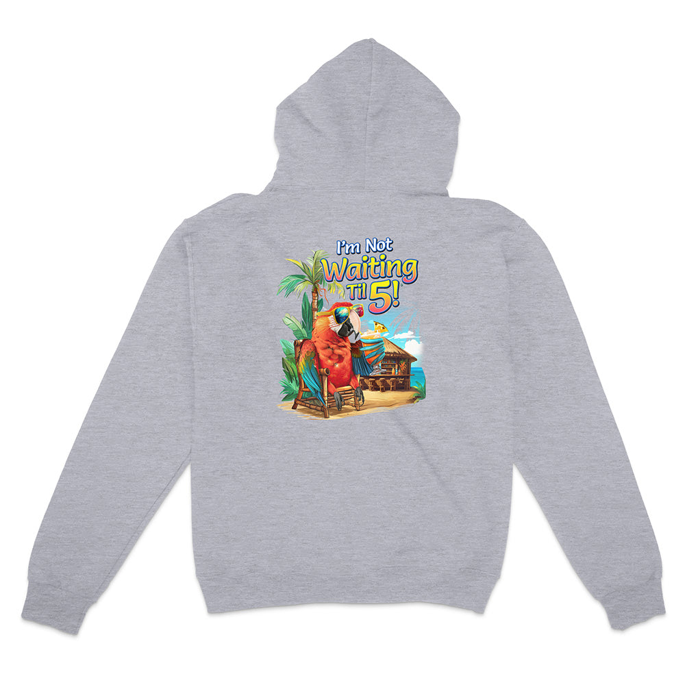 Gray hoodie with a colorful graphic on the back featuring a character and text.