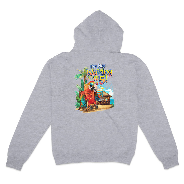 Gray hoodie with a colorful graphic on the back featuring a character and text.