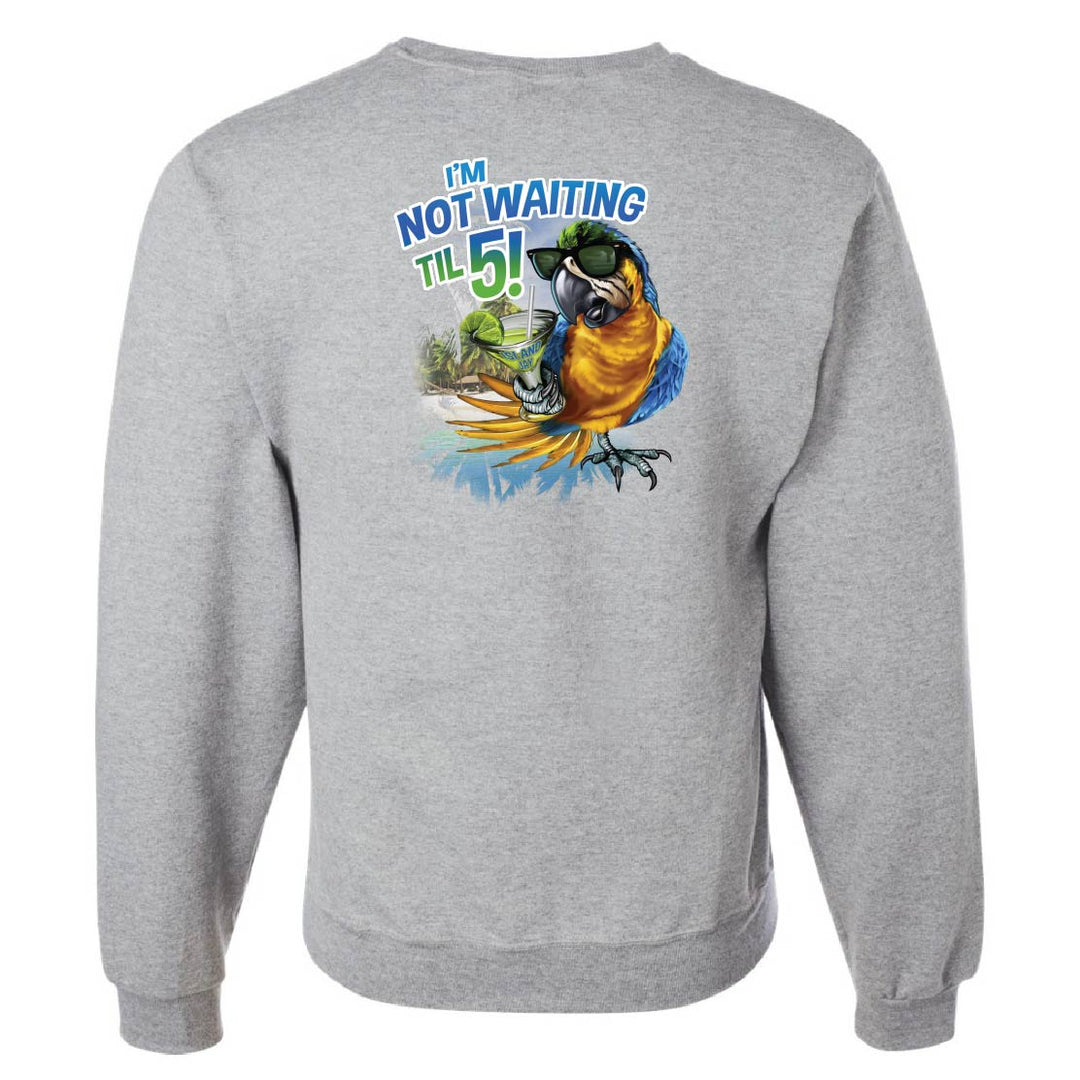 Gray sweatshirt with a colorful parrot graphic and text on the back against a white background