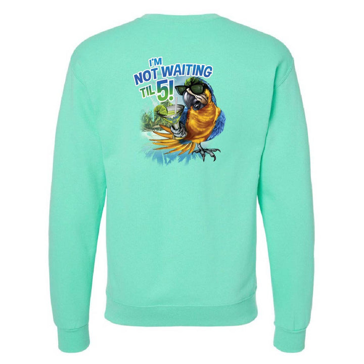 Mint green sweatshirt with a colorful parrot graphic and text on the back against a white background