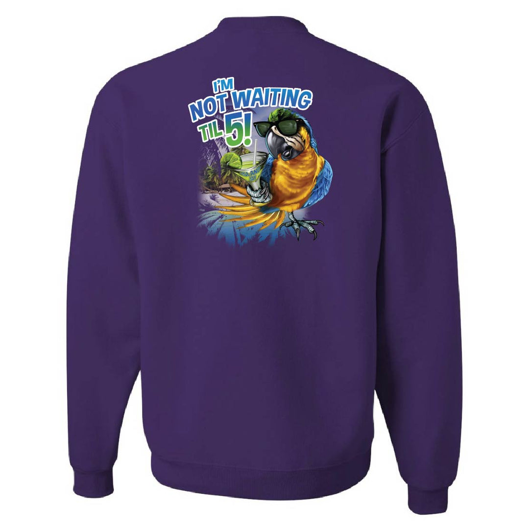 Purple sweatshirt with a colorful parrot graphic and text on the back