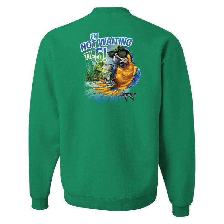 Green sweatshirt with a colorful parrot graphic and text on the back