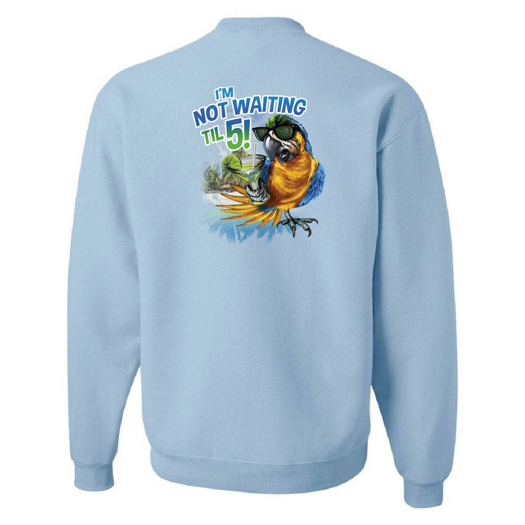Light blue sweatshirt with a colorful parrot graphic and text on the back