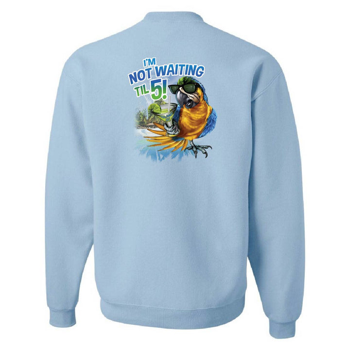 Light blue sweatshirt with a colorful parrot graphic and text on the back