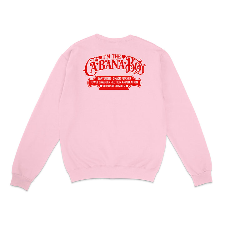 Pink sweatshirt with red text on the back on a white background