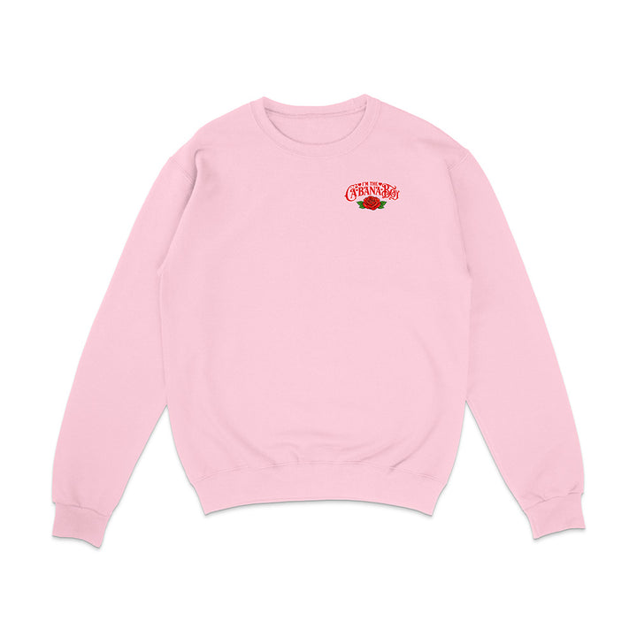 Pink sweatshirt with a logo on the chest against a white background