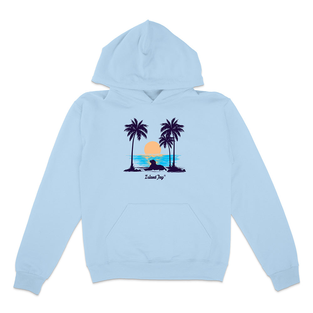 Sunset beach dog hoodie