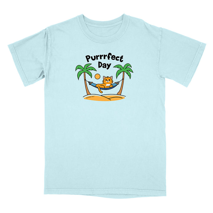 Light blue t-shirt with a cat graphic and 'Purrfect Day' text on a white background