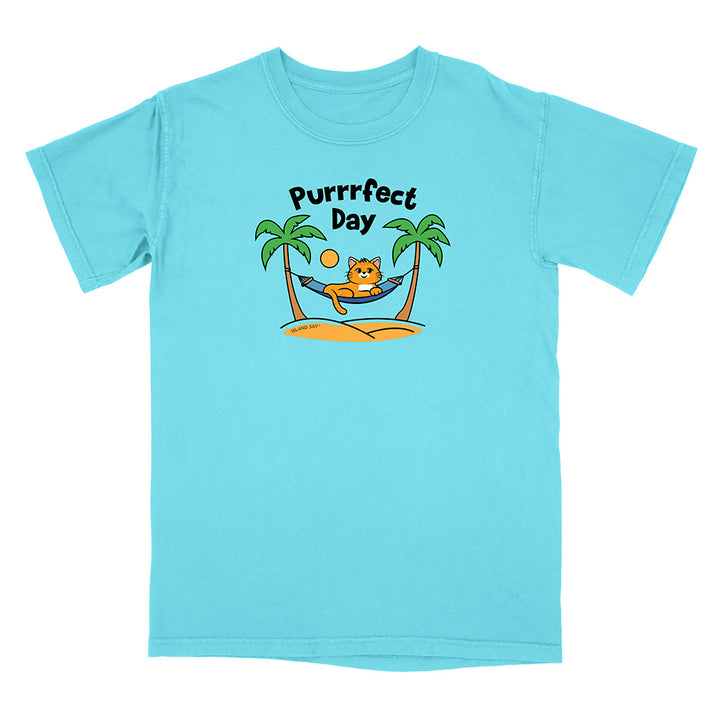 Light blue t-shirt with a cat graphic and 'Purrfect Day' text on a white background