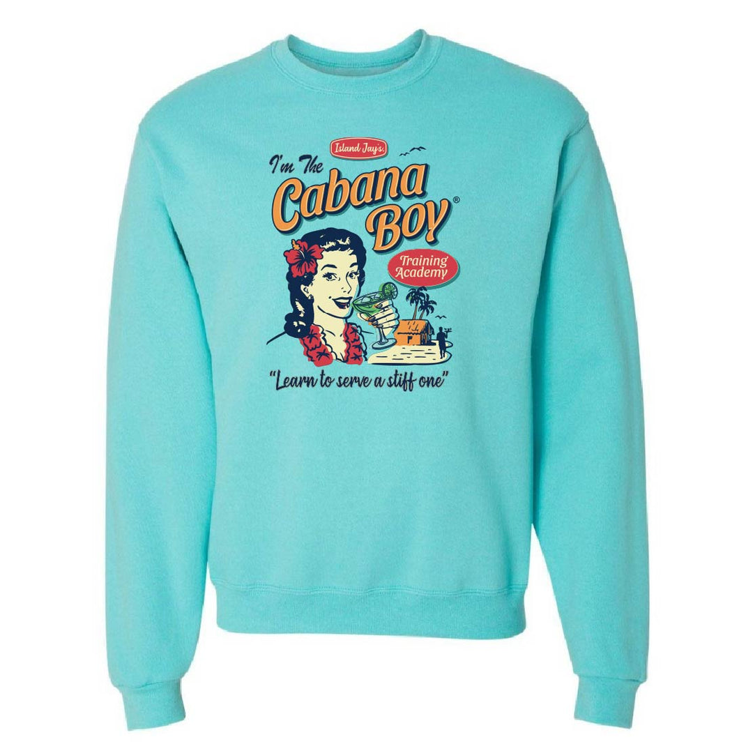 Light blue sweatshirt with a graphic design on a white background