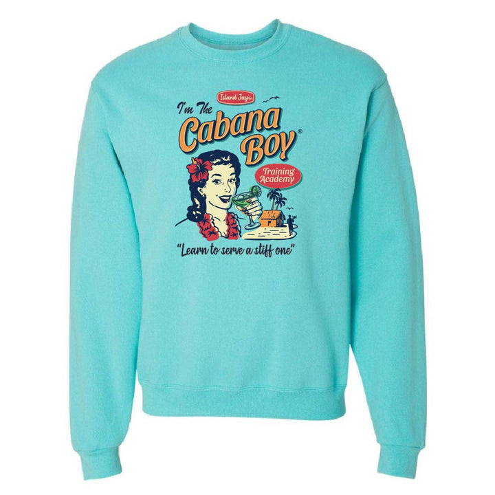 Light blue sweatshirt with a graphic design on a white background