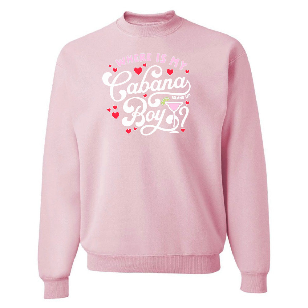 Pink sweatshirt with text and graphics on a white background