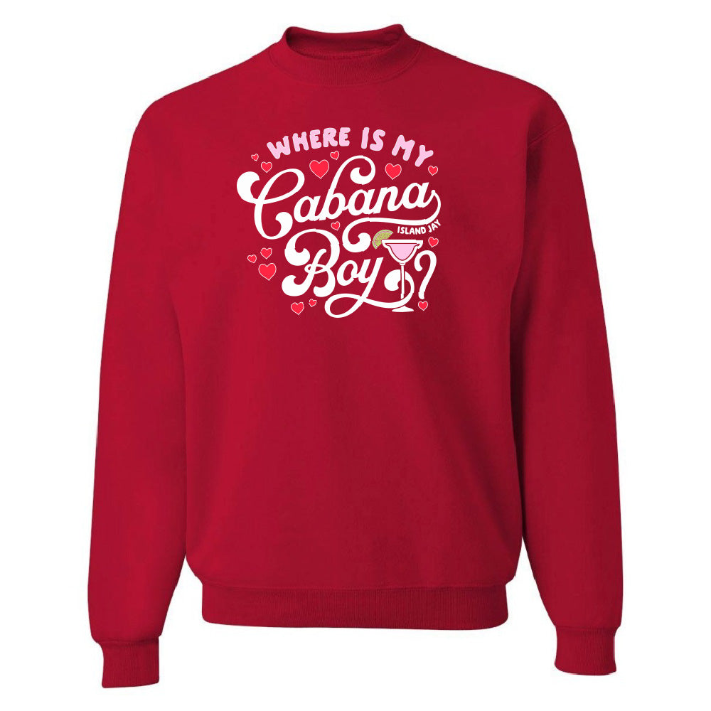 Red sweatshirt with white text and graphics on a white background