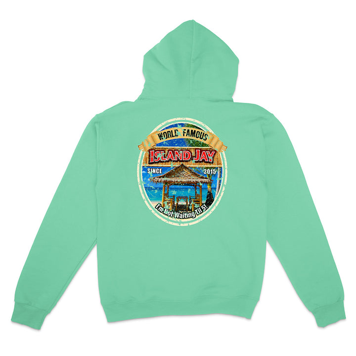 A mint green pullover hoodie shown from the back, featuring a large circular graphic print on the center back with a beach scene and the text 'World Famous Island Jay' and 'Palm Beach FL'.