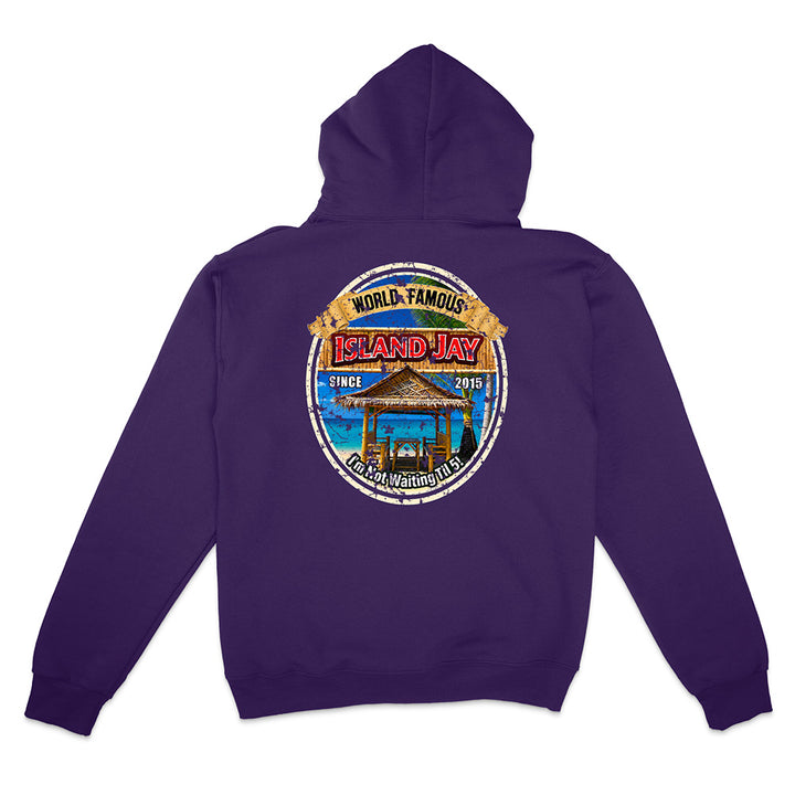 A purple pullover hoodie shown from the back, featuring a large circular graphic print on the center back with a beach scene and the text 'World Famous Island Jay' and 'Palm Springs, AL'.