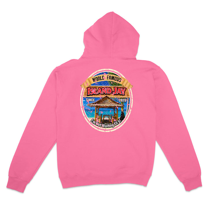 A pink pullover hoodie shown from the back, featuring a large circular graphic print on the center back with a beach scene and the words 'World Famous Island Jay' and 'Palm Beach Florida.'.