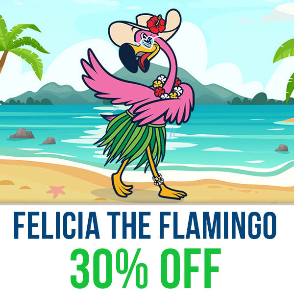 Black Friday Deals Felicia The Flamingo
