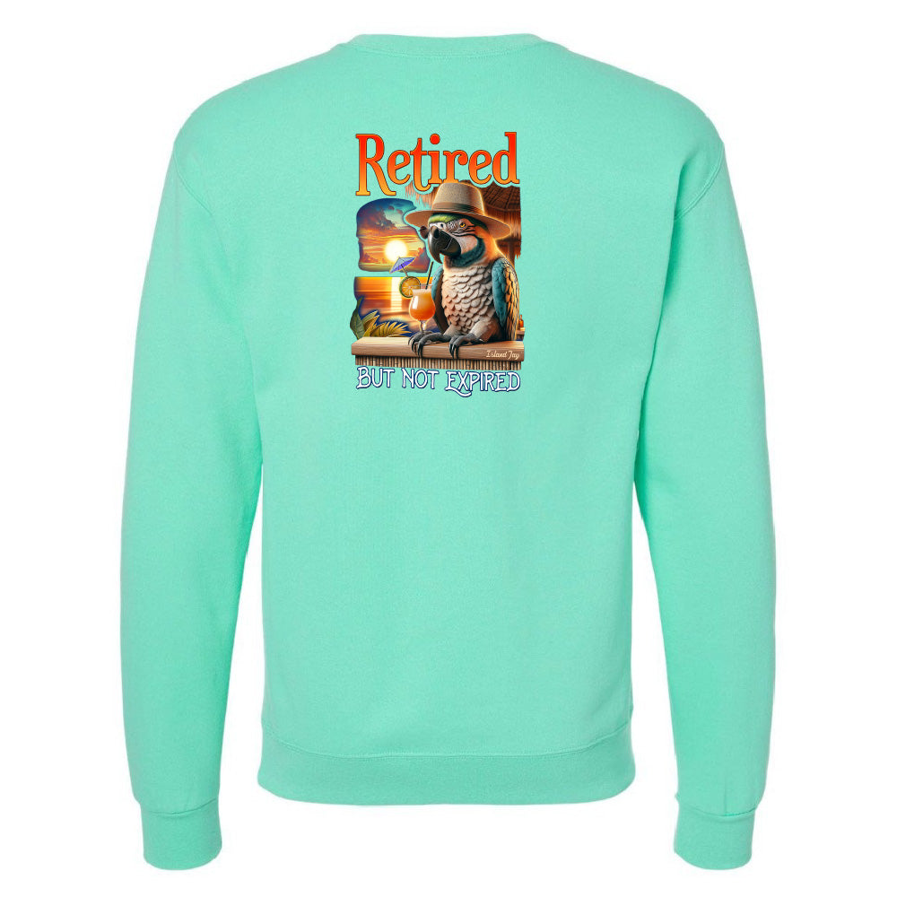Mint green sweatshirt with a parrot graphic and text on the back
