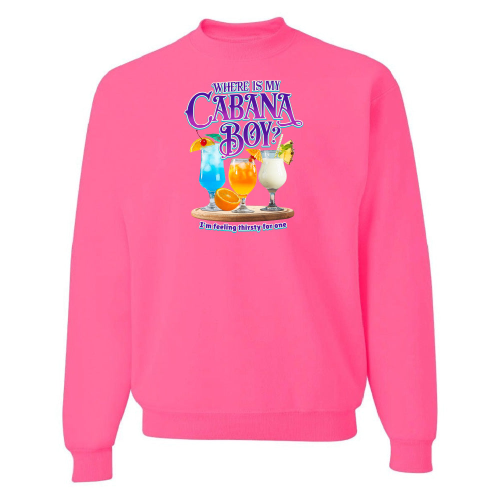 Pink sweatshirt with a graphic of cocktails and text on a white background