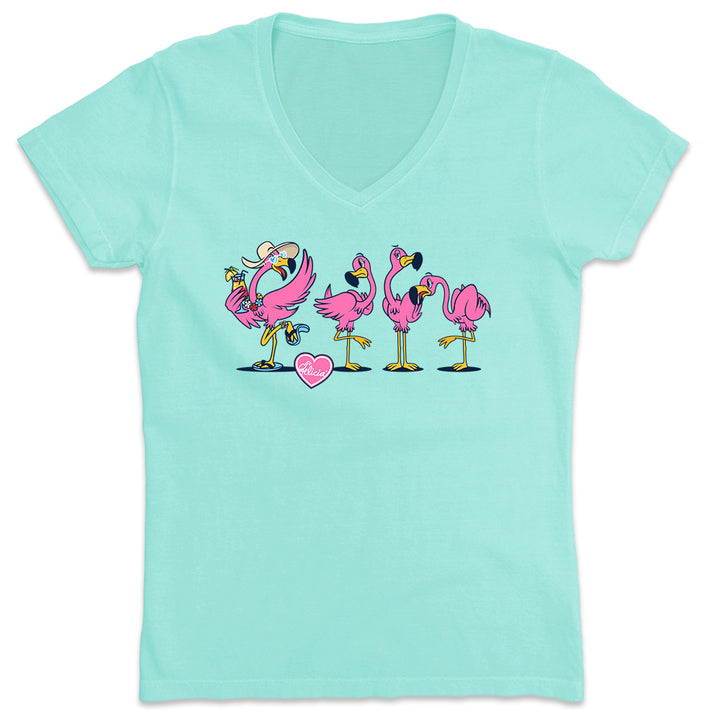 Women's Felicia Be Your Own Flamingo 2.0 V-Neck T-Shirt